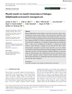 Playful Mouth-to-Mouth Interactions of Belugas (Delphinapterus leucas) in Managed Care