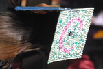 2012_Spring_Commencement_005